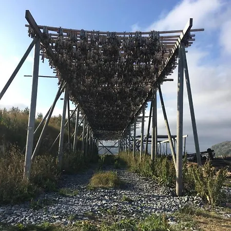 Tatil Evi Reinestua *